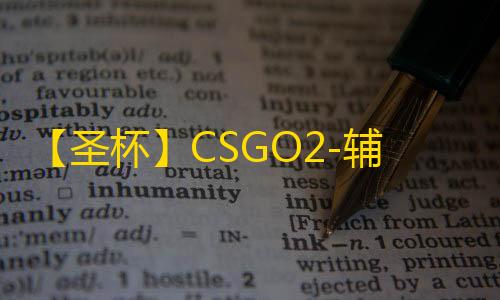 【圣杯】CSGO2-辅助